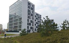 Apartament Kapelanów